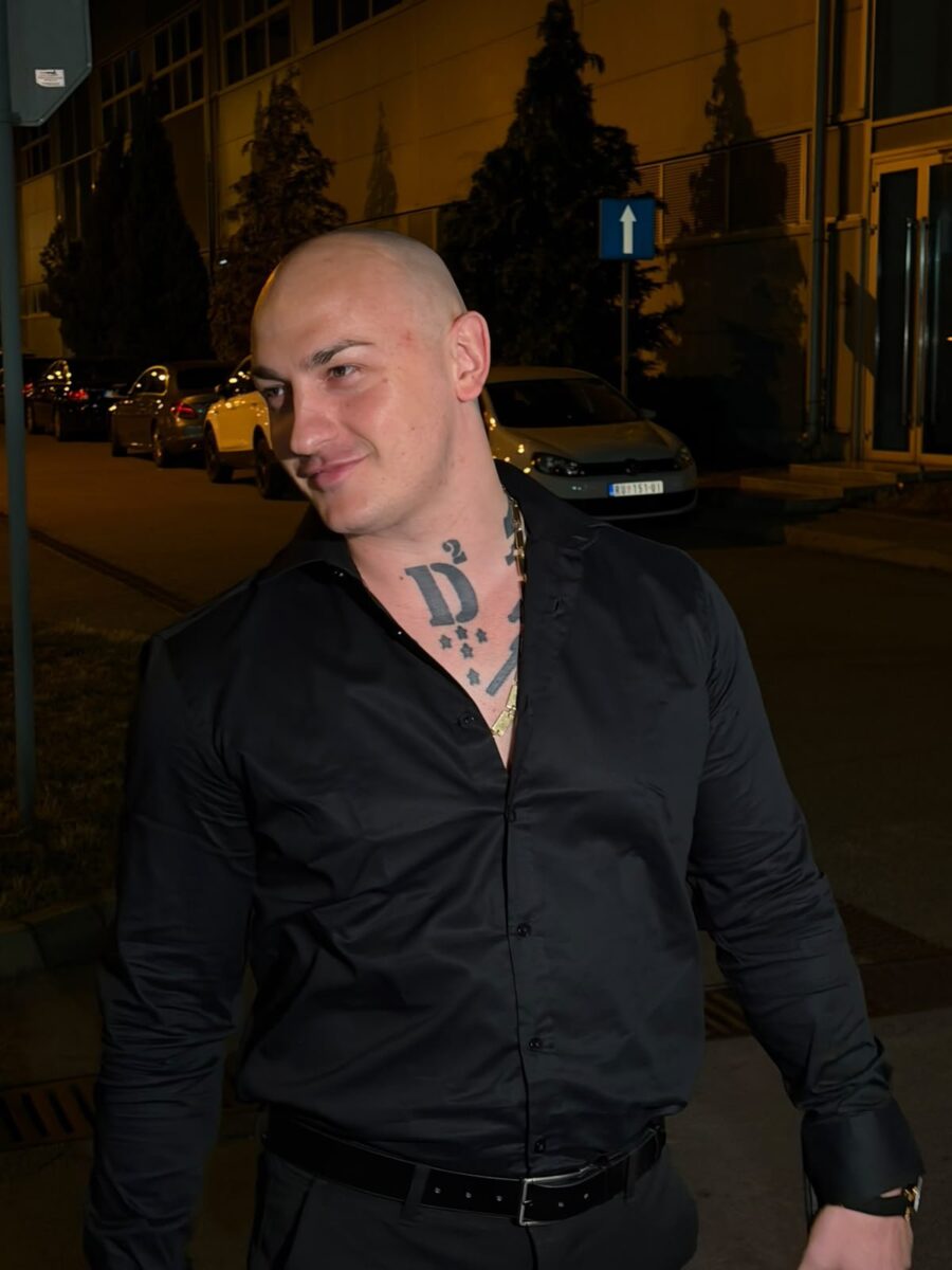 Dragomir Despić, Desingerica, portret