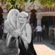 Nevena Hot ispratila ćerku Anastasiju na večni počinak, Partizanov grb na kovčegu – sahrana Anastasije Hot