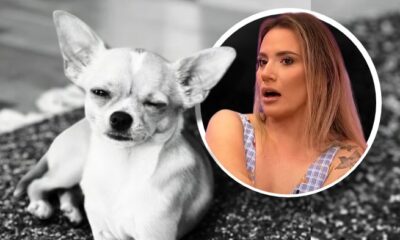 Kristina Spalević u centru pažnje zbog snimka i optužbi za prikrivanje smrti psa