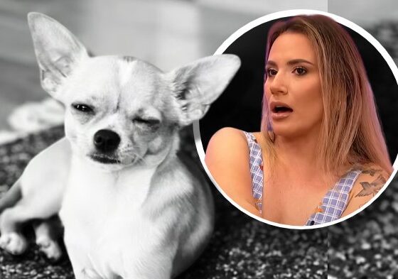 Kristina Spalević u centru pažnje zbog snimka i optužbi za prikrivanje smrti psa