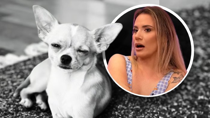 Kristina Spalević u centru pažnje zbog snimka i optužbi za prikrivanje smrti psa