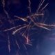 GRANICE SPEKTAKLA POMERENE U ELITI: Željko Mitrović vatrometom otvorio jubilarnu sezonu, produkcija na nivou koji publika nije očekivala (VIDEO) – otvaranje Elite 10