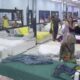 VELIKI ŠEF PREKIDA ODMOR U ELITI: Učesnici ekspresno ustali zbog važnog signala pred emisiju Pitanja novinara (VIDEO) – Veliki šef Elita 10