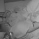 SVAĐA ODMAH POSLE INTIME: Filip Car i Laura Prgomet ne uspevaju da pronađu mir, odnos se komplikuje (VIDEO)