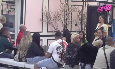 NEMA NAZAD ZA ANĐELU: Uverena je u Gastozovo poverenje i odnos sa Carem ostaje pod lupom (VIDEO) – poverenje između Nenada i Anđele