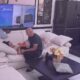 NOVO JUTRO, NOVA EMOCIJA U ELITI: Milan Popov probudio Radojku Jovanović poljupcima, pokazao koliko mu znači (VIDEO) – Milan Popov i Radojka Jovanović