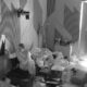 HAOS U REHABU USRED NOĆI: Laura upala kod Cara i Kristine, usledila burna reakcija – tenzija raste u Beloj kući (VIDEO)