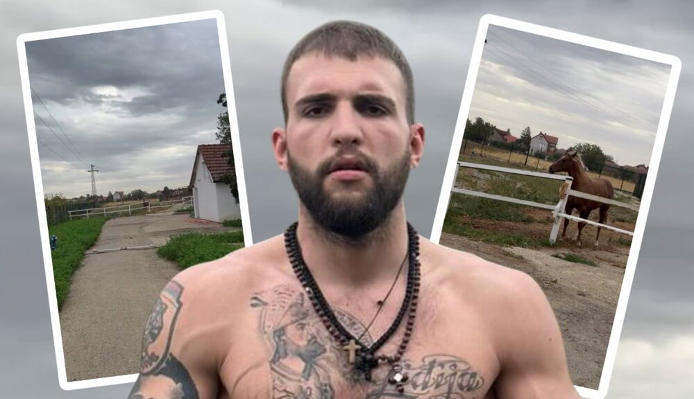PREOKRET NA IMANJU VELJKA RAŽNATOVIĆA: Privatni hipodrom i novi konji u Titelu, a jedan detalj izazvao lavinu komentara (FOTO) – privatni hipodrom u Titelu