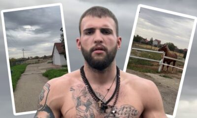 PREOKRET NA IMANJU VELJKA RAŽNATOVIĆA: Privatni hipodrom i novi konji u Titelu, a jedan detalj izazvao lavinu komentara (FOTO) – privatni hipodrom u Titelu