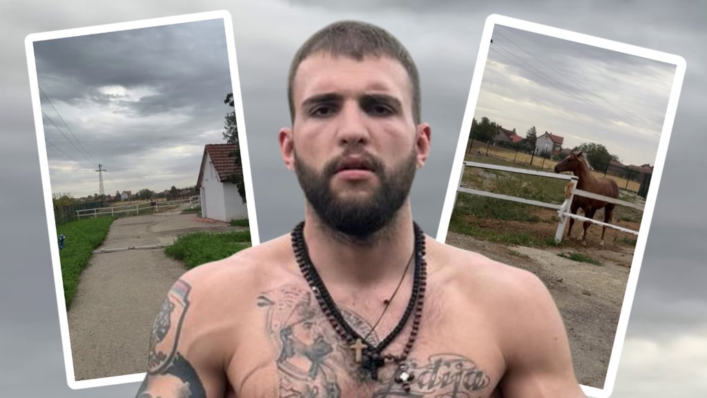 PREOKRET NA IMANJU VELJKA RAŽNATOVIĆA: Privatni hipodrom i novi konji u Titelu, a jedan detalj izazvao lavinu komentara (FOTO) – privatni hipodrom u Titelu