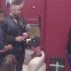 CAR ULAZI U KARIĆEVU EKIPU: Filip Car se našalio sa Stefanom Karićem, svi čekaju kako će se odnos dalje razvijati (VIDEO) – Filip Car i Stefan Karić