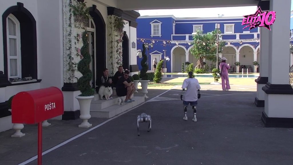 NEVIĐENI OBRT U BELOJ KUĆI: Robot Toša i pas Fifi ušetali među zadrugare, svi se pitaju šta sledi (VIDEO) – robot Toša i pas Fifi u Eliti