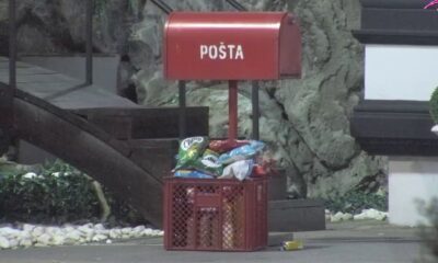 SPEKTAKL U BELOJ KUĆI: Učesnici Elita gledaju Pinkove zvezde, podrška Milanu Popovu nikad glasnija (VIDEO)