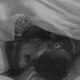 PREOKRET U BELOJ KUĆI: Filip Đukić i Laura Prgomet završili zajedno u hotelu, Aneli Ahmić suočena sa najgorim strahom (VIDEO)
