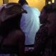 SUKOB FILIPA ĐUKIĆA I ANELI TRESA BELU KUĆU: Zadrugarka pozvala Lauru na suočavanje, svi čekaju njen odgovor (VIDEO)