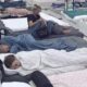 VELIKI ŠEF POKRENUO RAZBUĐIVANJE U ELITI: Zadrugari nisu ni stigli da zadremaju, neočekovane reakcije na domaće hitove (VIDEO) – Veliki šef pokreće razbuđivanje