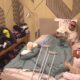 SVE OČI UPRTE U ANELI I CARA: Zadrugarka u Carevom krevetu otkrila svoje granice, Anđela u fokusu (VIDEO)