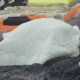 MASKE PADAJU U SPAVAĆOJ SOBI: Đukić i Laura zaboravili na kamere, svi gledali šta se dešava ispod jorgana (VIDEO) – plamen strasti u Eliti
