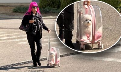 ZORICA BRUNCLIK U CENTRU PAŽNJE: Pevačica na snimanje Pinkovih zvezda povela psa u providnom rancu, svi gledali u njenog ljubimca (FOTO) – Zorica Brunclik Pinkove zvezde