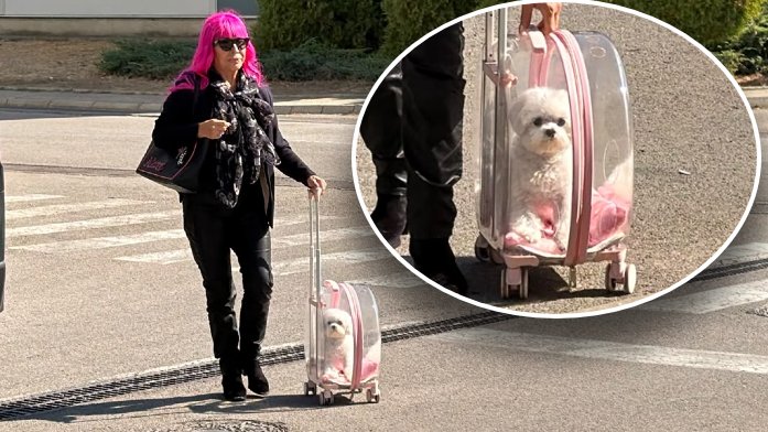 ZORICA BRUNCLIK U CENTRU PAŽNJE: Pevačica na snimanje Pinkovih zvezda povela psa u providnom rancu, svi gledali u njenog ljubimca (FOTO) – Zorica Brunclik Pinkove zvezde