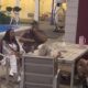 SUKOB U BELOJ KUĆI NE JENJAVA: Laura Prgomet i Glorija Jelovac ne popuštaju u raspravi sa Aneli, cimeri im okrenuli leđa (VIDEO)