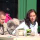 PREOKRET U ELITI: Laura Prgomet najavila da neće forsirati Đukića tokom večerašnje žurke, svi čekaju njen sledeći potez (VIDEO) – Laura Prgomet Elita