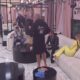 SUZE I NEMIR U BELOJ KUĆI: Aneli ne može da zaboravi Cara, Mića joj direktno poručio šta misli (VIDEO) – suze Aneli Ahmić