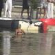 SERIJA SKANDALA JASENKE U ELITI: Zadrugarka izvela striptiz pa šokirala učesnike skokom u jezero (VIDEO) – skandali Jasenke u Eliti