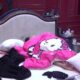 ZEMLJOTRES U KREVETU LAURE I ĐUKIĆA: Zadrugari ne prestaju sa akcijom, pokrivač samo što nije poleteo (VIDEO)