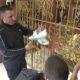 CENKANJE U ZALOGAONICI PROMENILO PRAVILA IGRE: Mirko Damjanović prodao patike iz sportske karijere, Ivana Šopić ga pritisla do poslednjeg dinara (VIDEO) – cenkanje u zalagaonici
