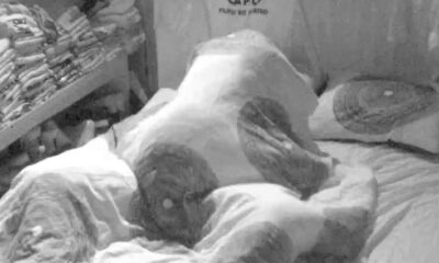 ŽESTOKI OBRAT U BELOJ KUĆI: Aneli i Car posle burne svađe završili u strasnom pomirenju, zadrugari u šoku (VIDEO) – pomirenje Aneli i Cara