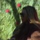 RASTU TENZIJE U ODNOSU ANELI I CARA: Otkrila velike planove i emotivne dileme pred svima u Beloj kući (VIDEO) – odnos Aneli i Cara