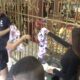 IGRA MOĆI I NEZADOVOLJSTVO U BELOJ KUĆI: Mateja i Uroš pokušali da impresioniraju Ivanu Šopić, ali ostali praznih ruku (VIDEO)