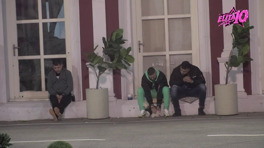 ŠARM ČETVORONOŽNE ELITE OSVOJIO ŠA: Reper Nenad Aleksić ne skida osmeh nakon igre sa ljubimcem Ivana Marinkovića (VIDEO) – Nenad Aleksić Ša Elita